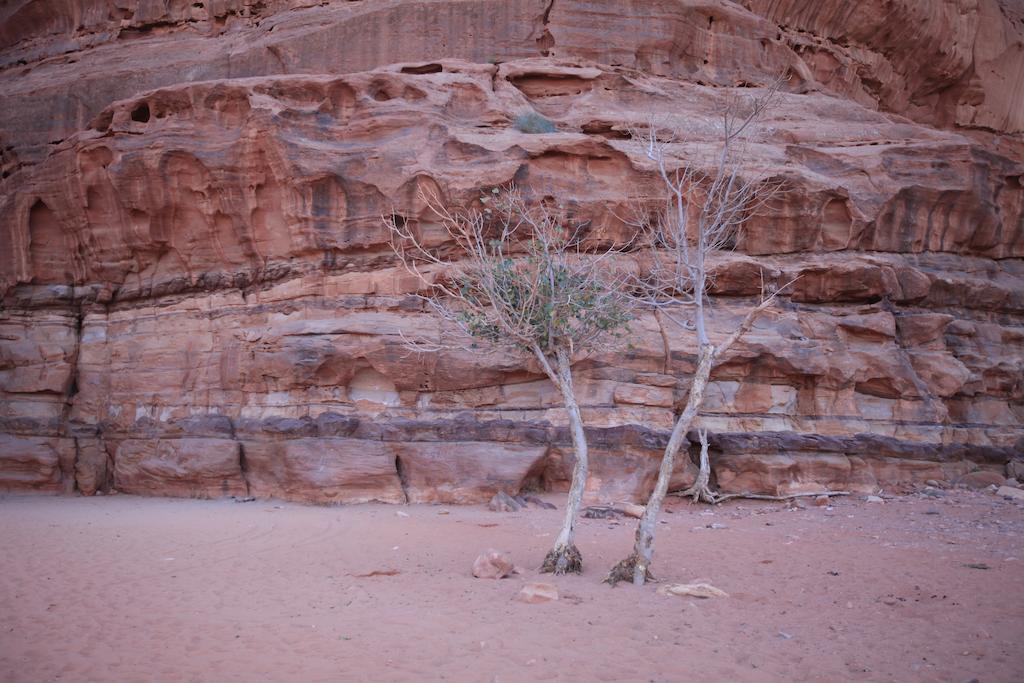 Bedouin Expedition Rum vádi Kültér fotó