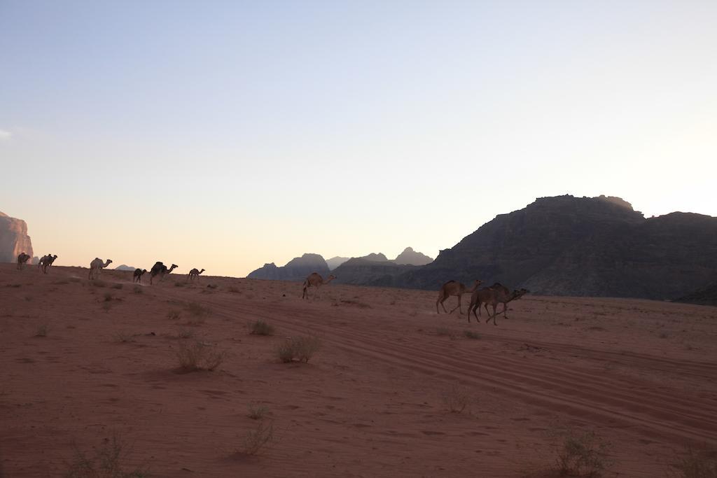 Bedouin Expedition Rum vádi Kültér fotó