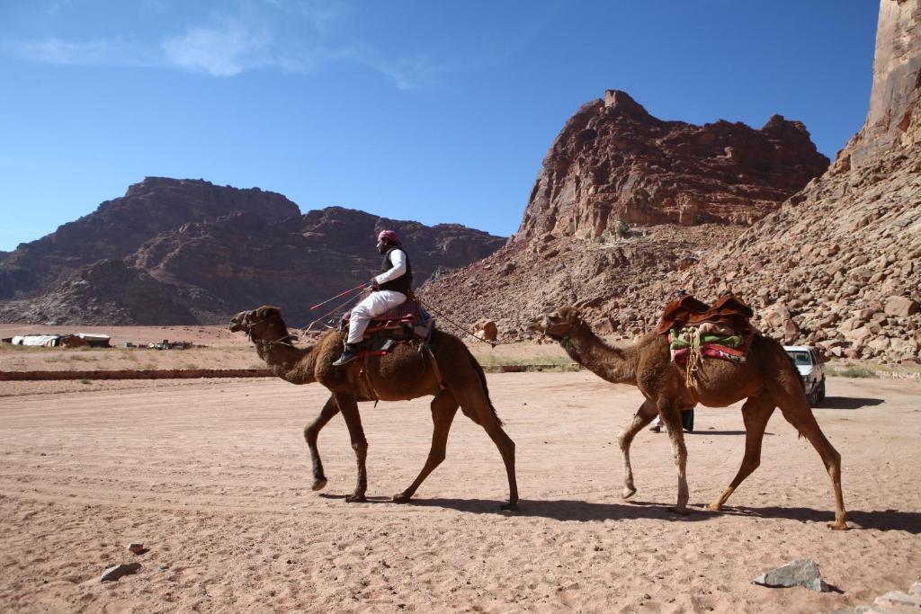 Bedouin Expedition Rum vádi Kültér fotó