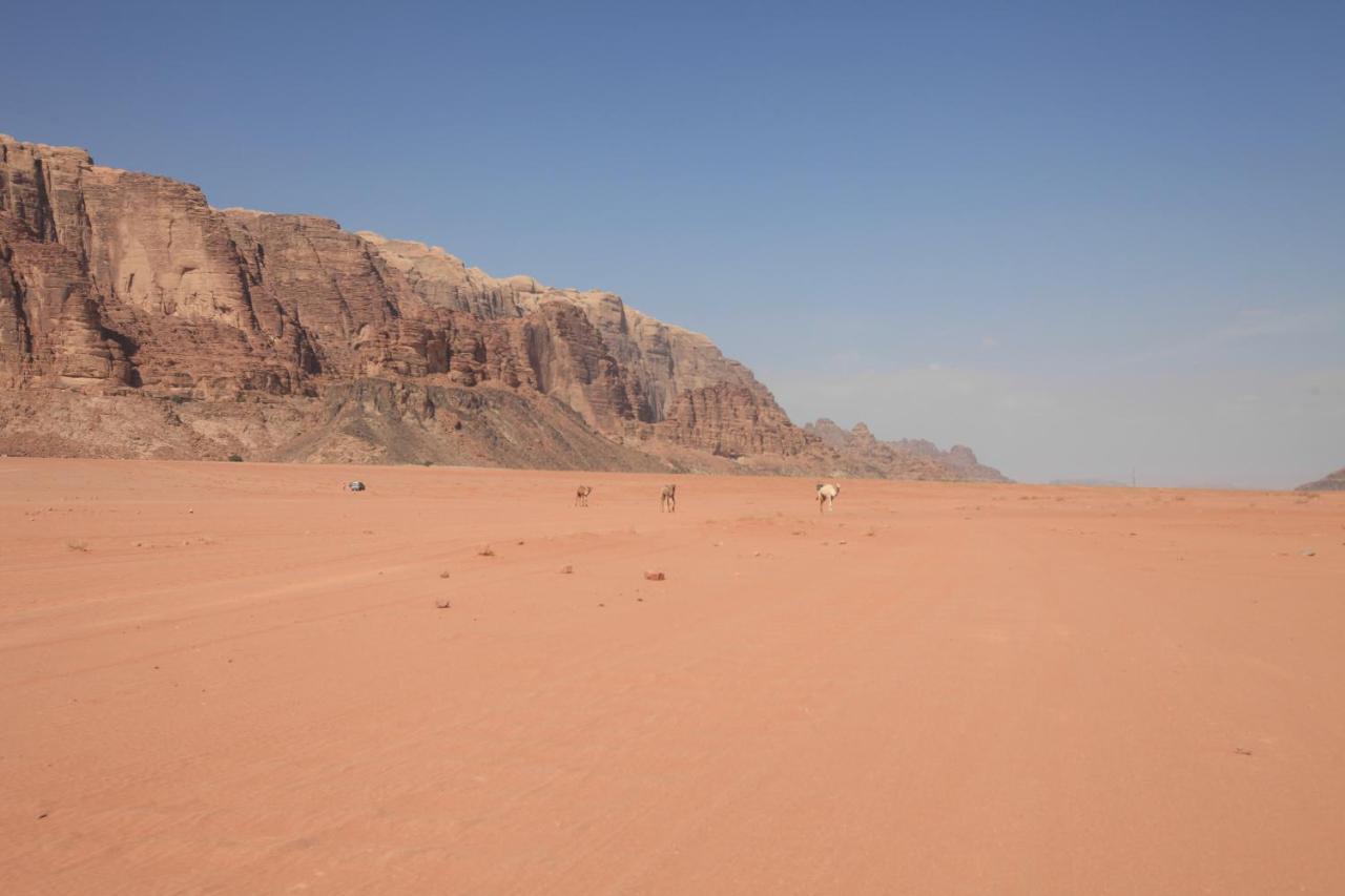 Bedouin Expedition Rum vádi Kültér fotó